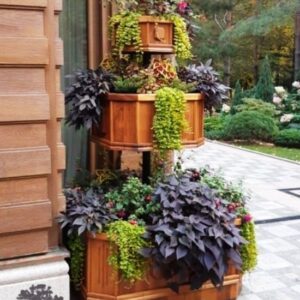 barelwood.com